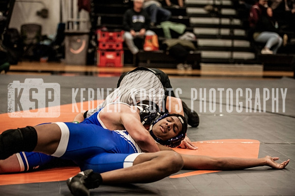 IMG_5036 copy