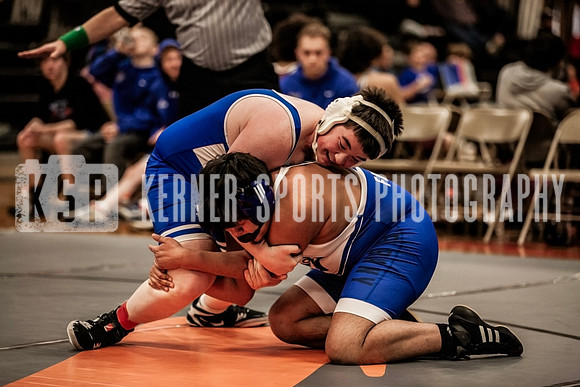 IMG_5046 copy