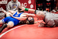 IMG_5387 copy