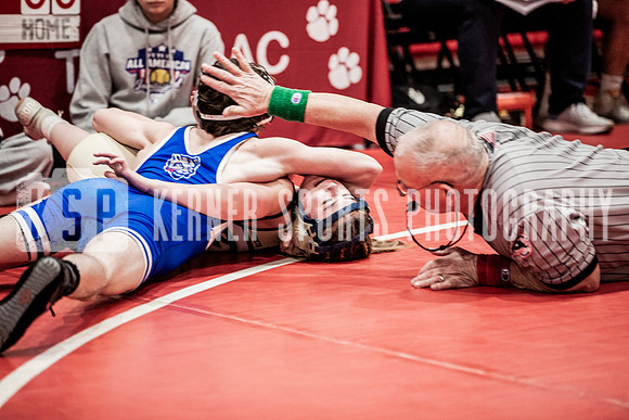IMG_5387 copy