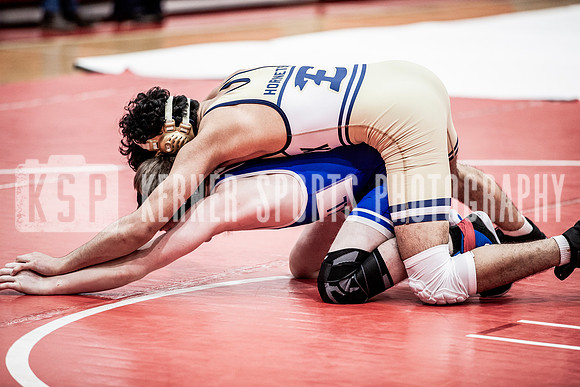 IMG_5416 copy