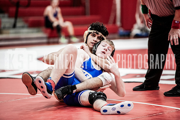 IMG_5424 copy