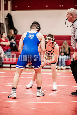 IMG_5433 copy
