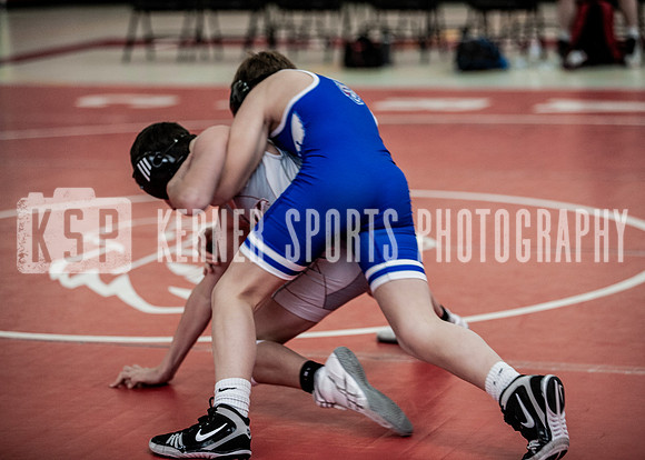 IMG_5500 copy