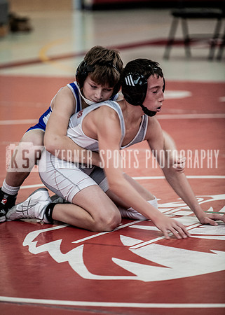 IMG_5508 copy
