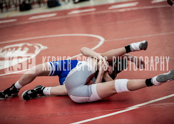 IMG_5502 copy
