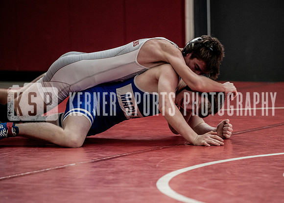 IMG_5532 copy