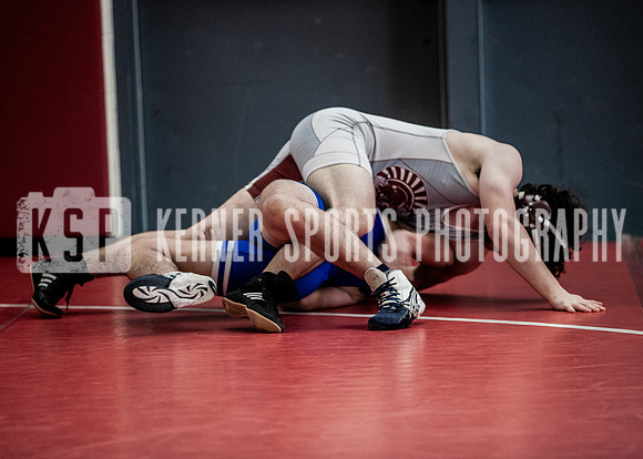 IMG_5541 copy