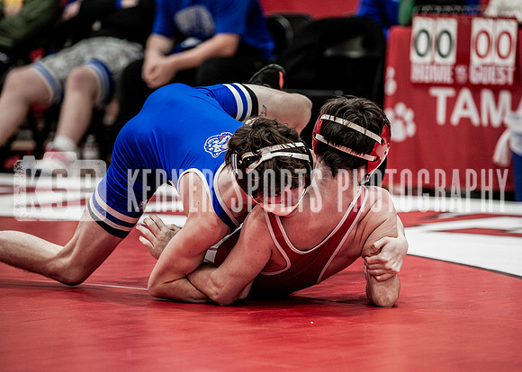 IMG_5546 copy