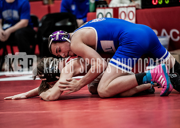 IMG_5550 copy