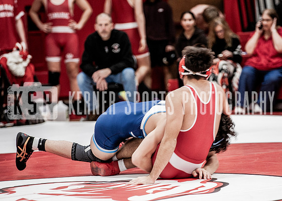 IMG_5635 copy