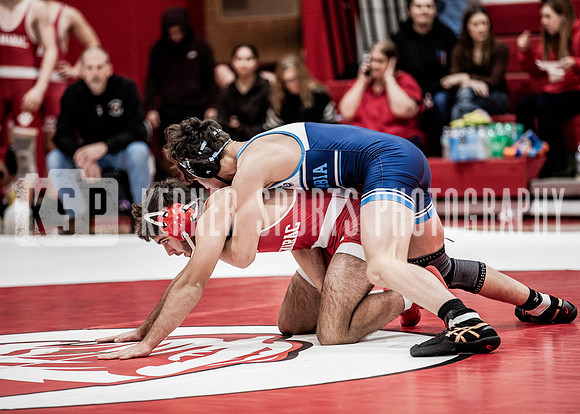 IMG_5637 copy