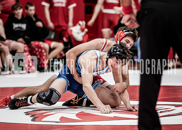 IMG_5645 copy