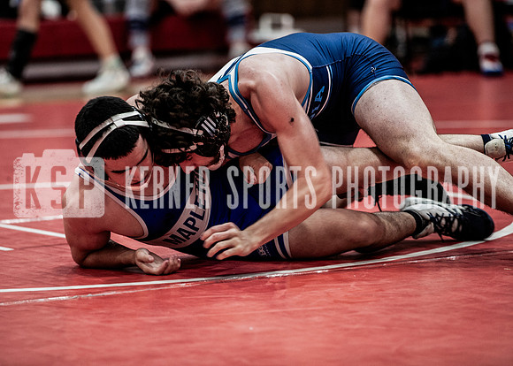 IMG_5667 copy