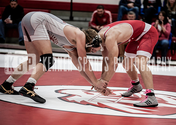 IMG_5687 copy