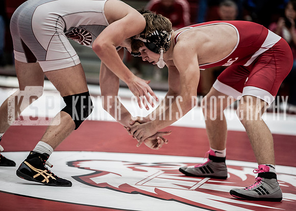 IMG_5686 copy
