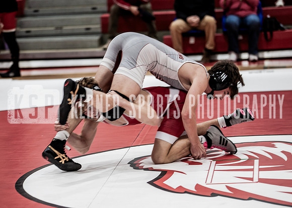 IMG_5694 copy
