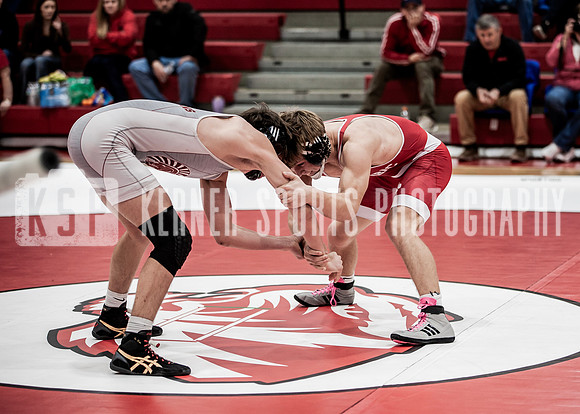 IMG_5701 copy