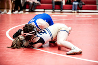 IMG_5379 copy