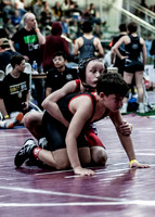 IMG_8029 copy