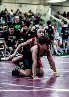 IMG_8028 copy
