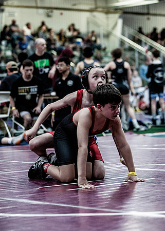 IMG_8028 copy