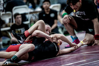 IMG_8041 copy
