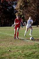IMG_4341 copy