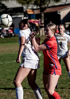 IMG_4317 copy