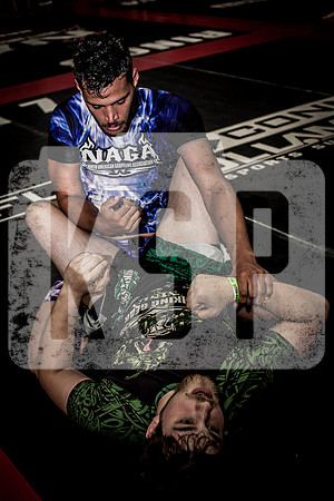 IMG_6144